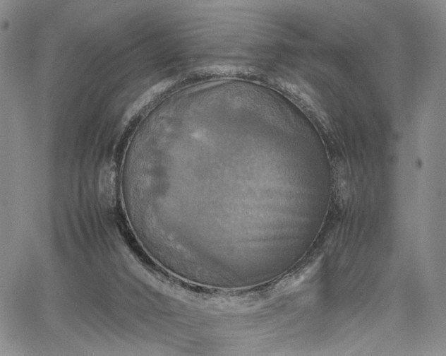 X0000067890016200604201321