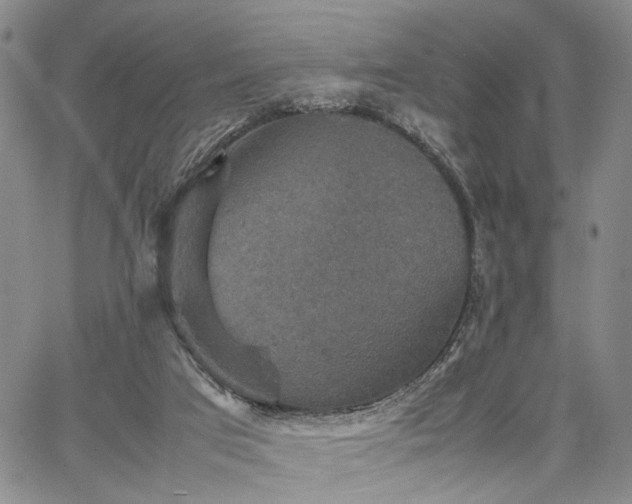 X0000067890017200604201321