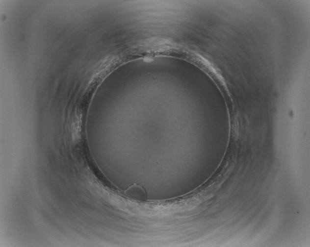 X0000067890018200604201321