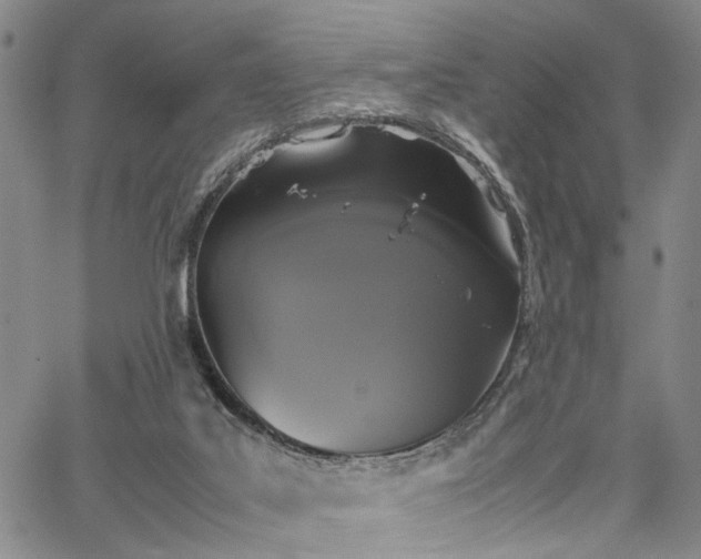 X0000067890019200604201321