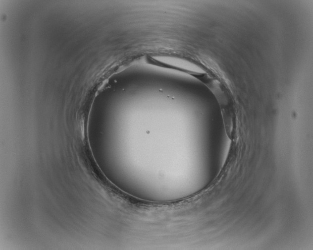 X0000067890021200604201321