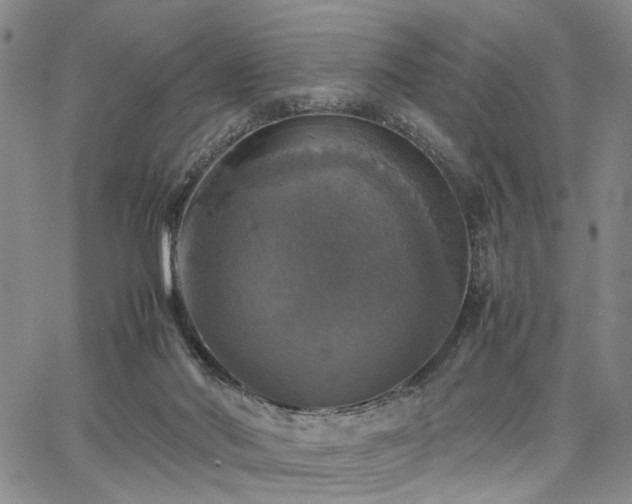 X0000067890022200604201321