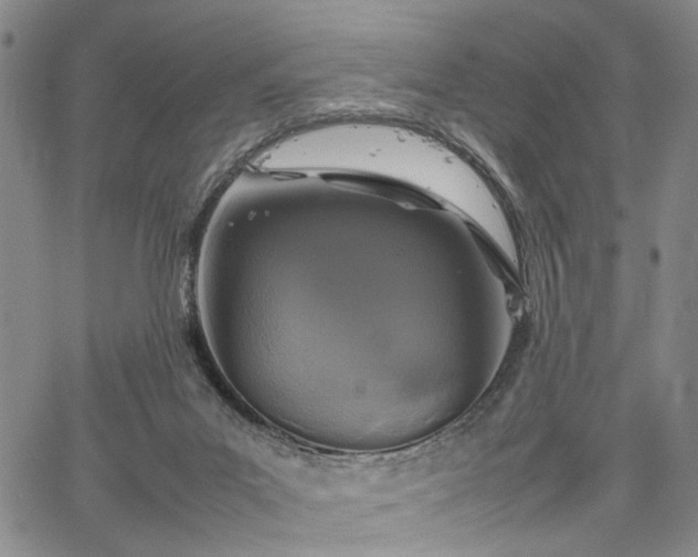 X0000067890023200604201321