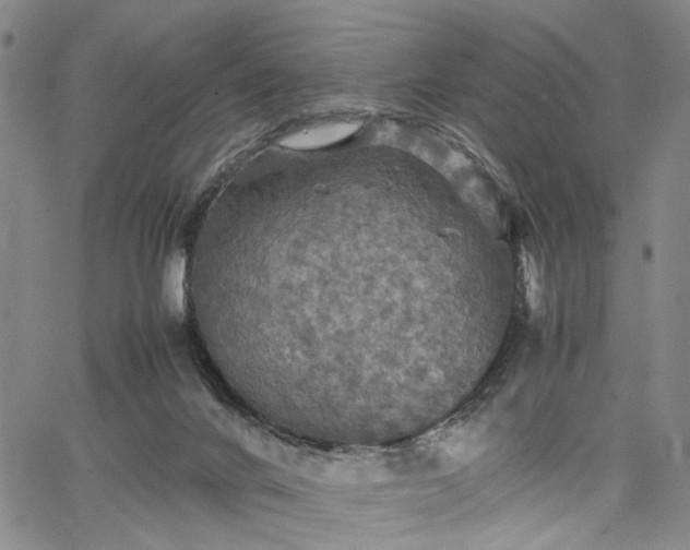 X0000067890024200604201321