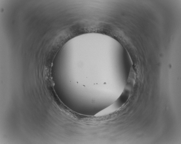 X0000067890025200604201321