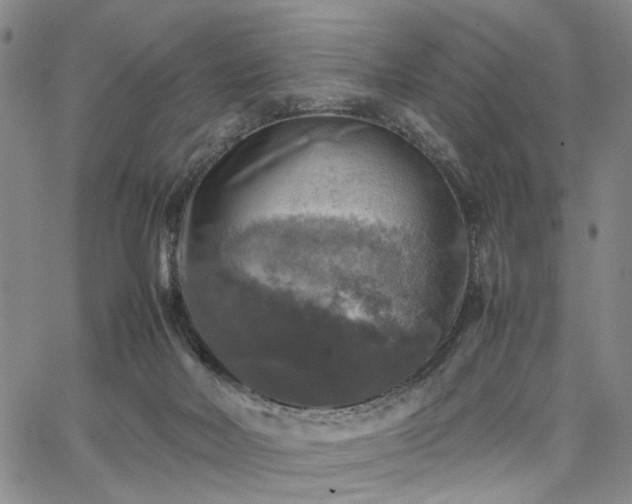 X0000067890026200604201321