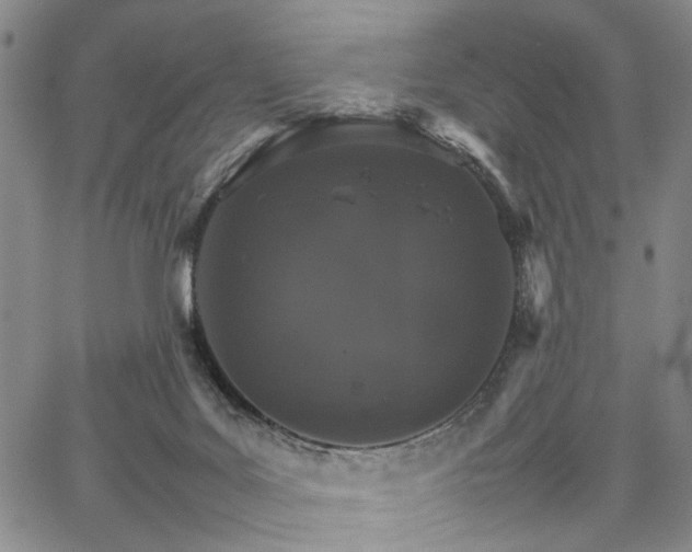 X0000067890027200604201321