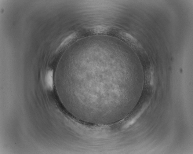 X0000067890028200604201321