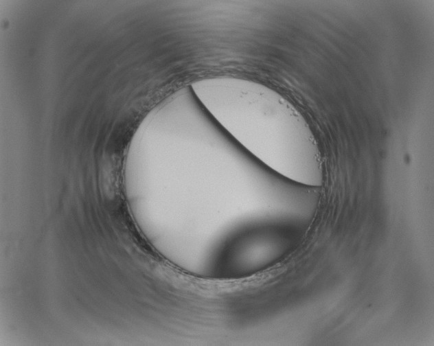 X0000067890030200604201321