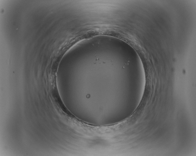 X0000067890031200604201320