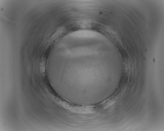 X0000067890032200604201320