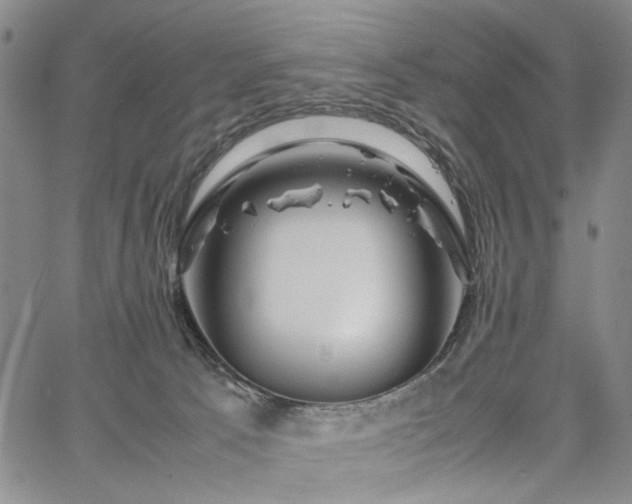 X0000067890033200604201320