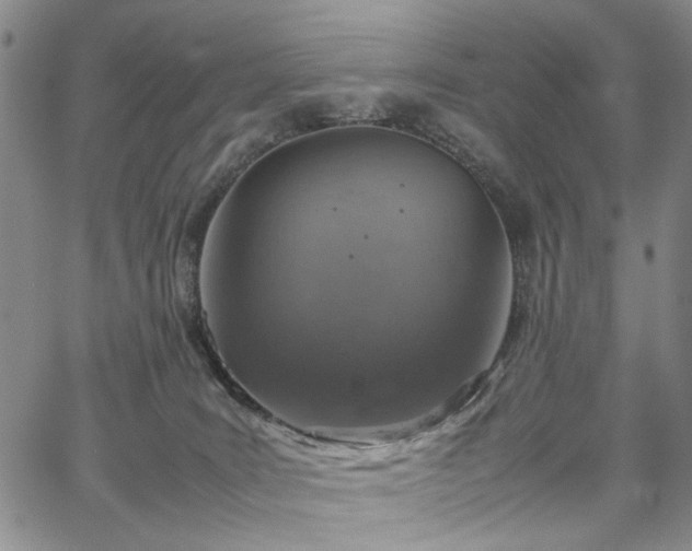 X0000067890035200604201320