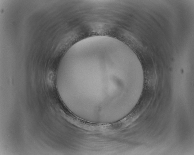 X0000067890036200604201320