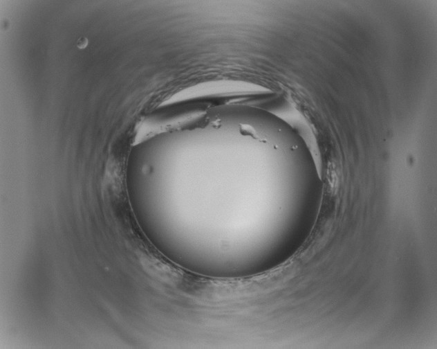 X0000067890037200604201320