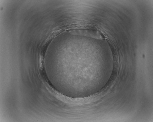 X0000067890038200604201320