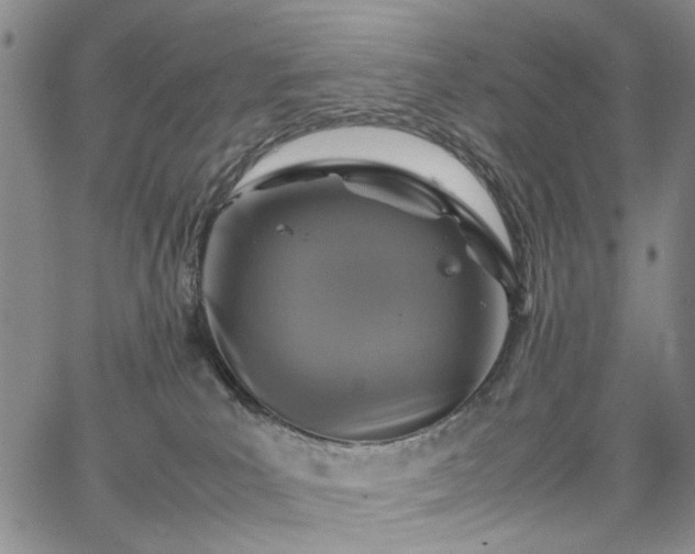 X0000067890039200604201320