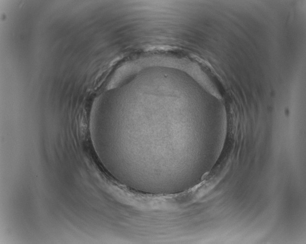 X0000067890040200604201320