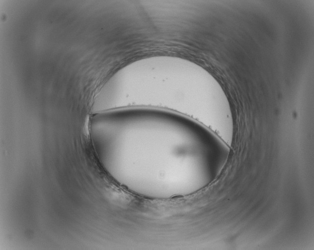 X0000067890041200604201320