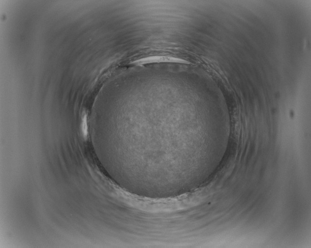 X0000067890042200604201320