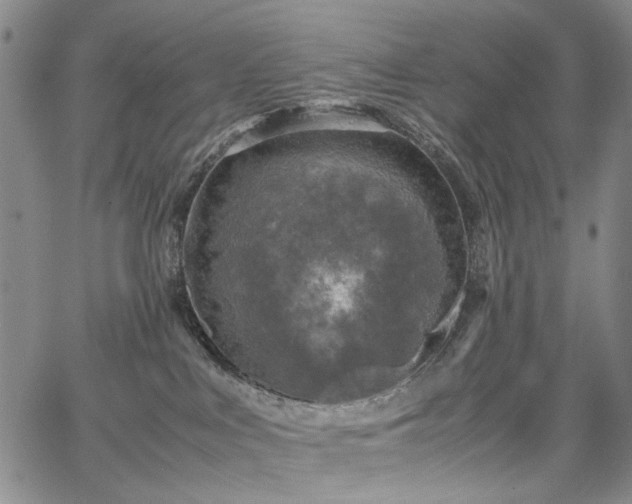 X0000067890043200604201320