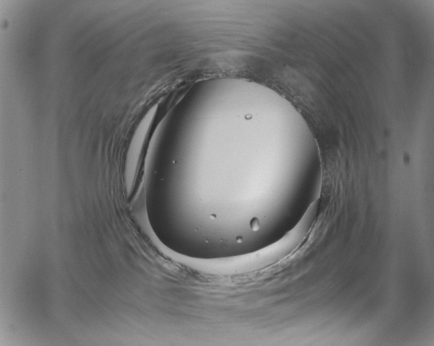 X0000067890045200604201320