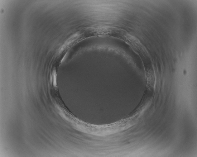 X0000067890046200604201320