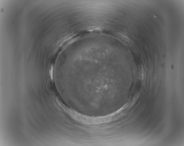 X0000067890047200604201320