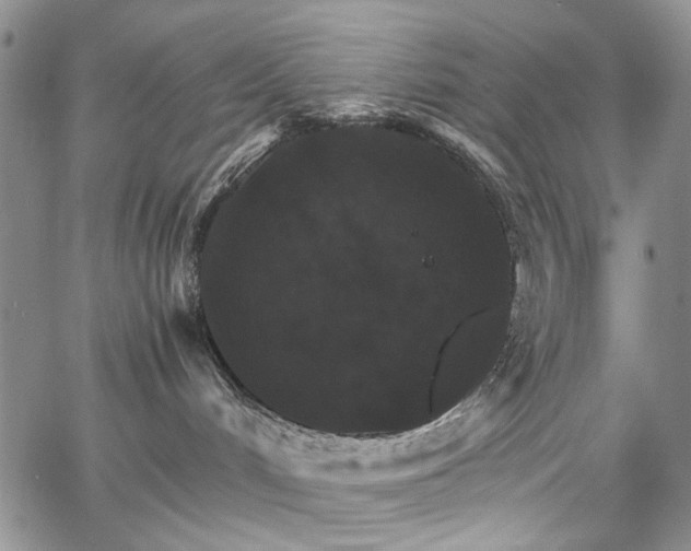 X0000067890048200604201320