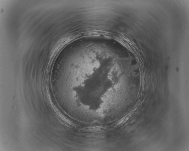 X0000067890049200604201319