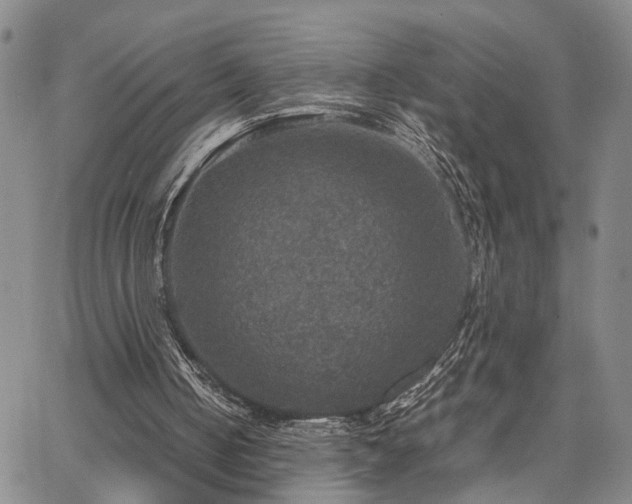 X0000067890050200604201319