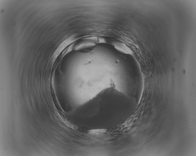 X0000067890051200604201319