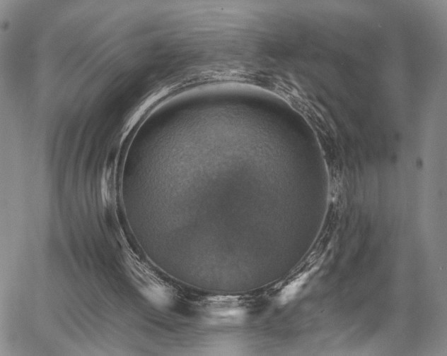 X0000067890052200604201319