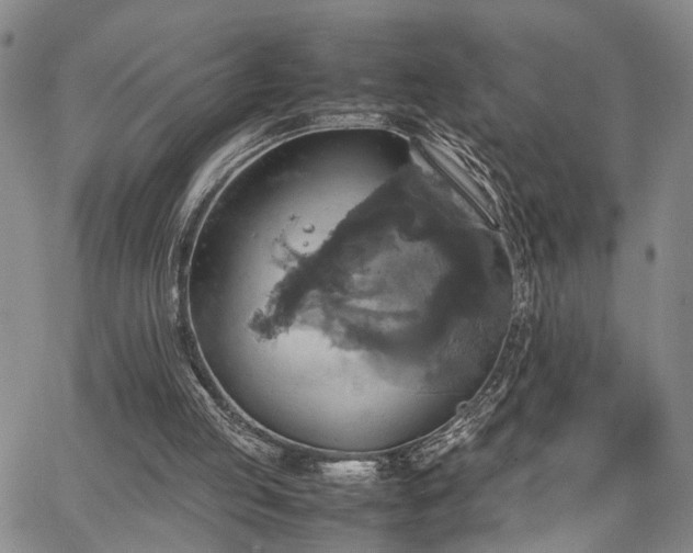 X0000067890053200604201319