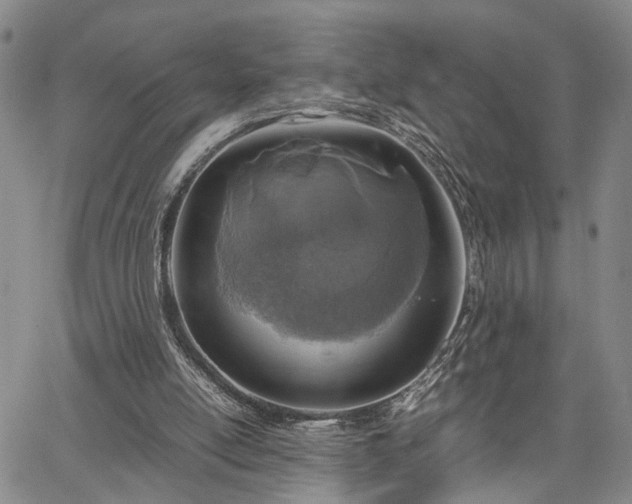 X0000067890054200604201320