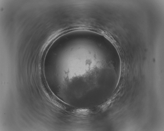 X0000067890055200604201320