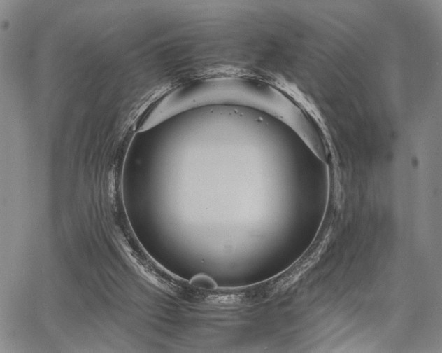 X0000067890057200604201320