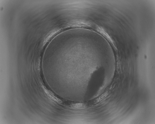 X0000067890058200604201320