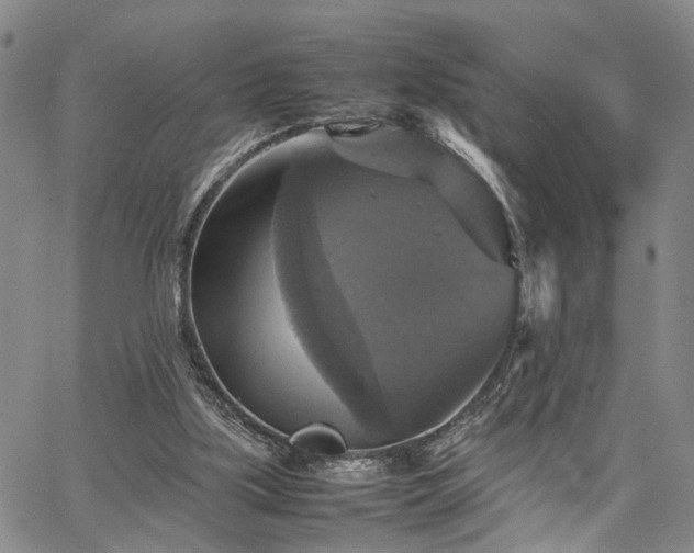 X0000067890059200604201320