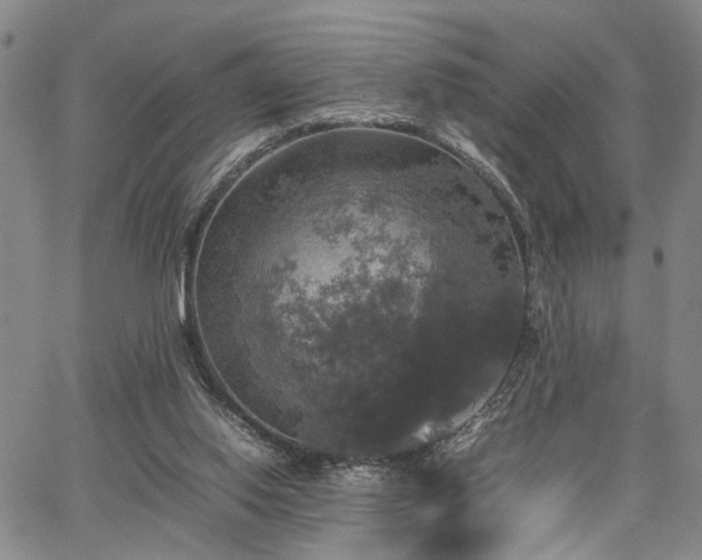 X0000067890062200604201320