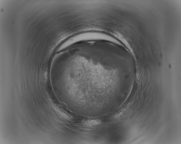 X0000067890063200604201320