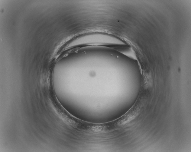 X0000067890064200604201320