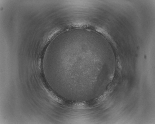 X0000067890066200604201320