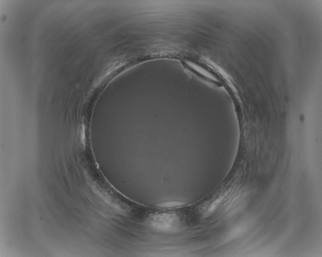 X0000067890067200604201320