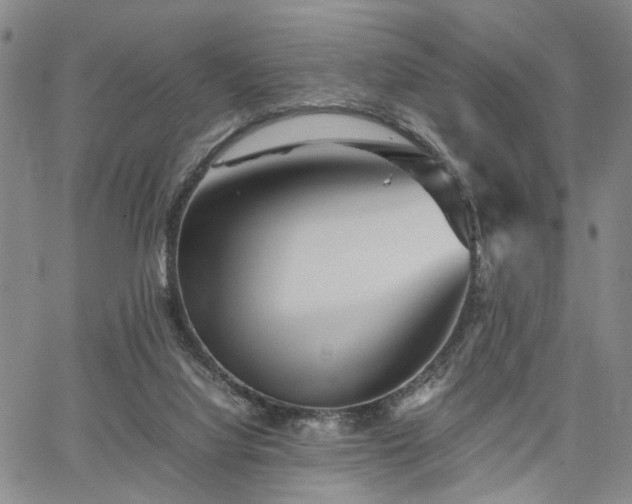 X0000067890068200604201320