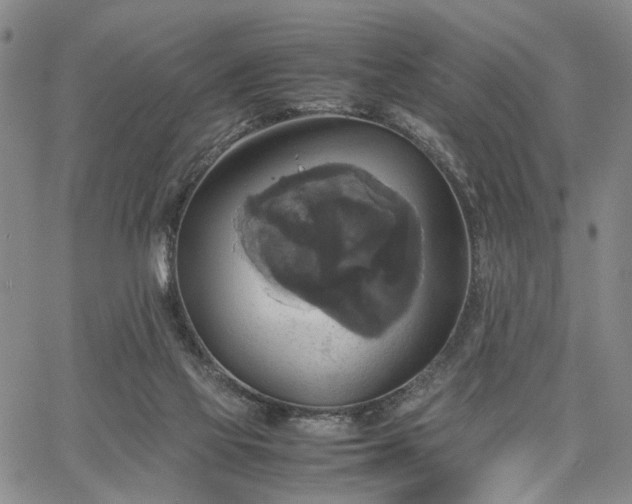 X0000067890069200604201320