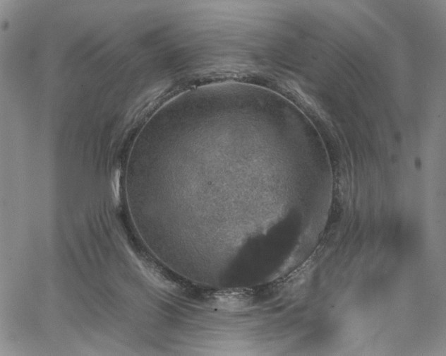 X0000067890070200604201320