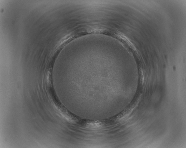 X0000067890071200604201320