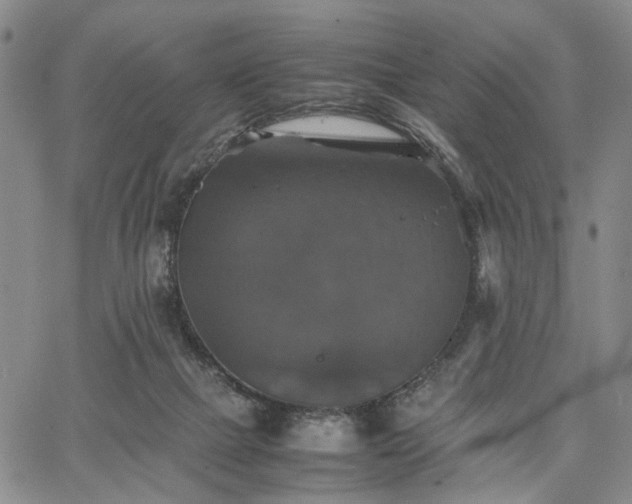 X0000067890073200604201320