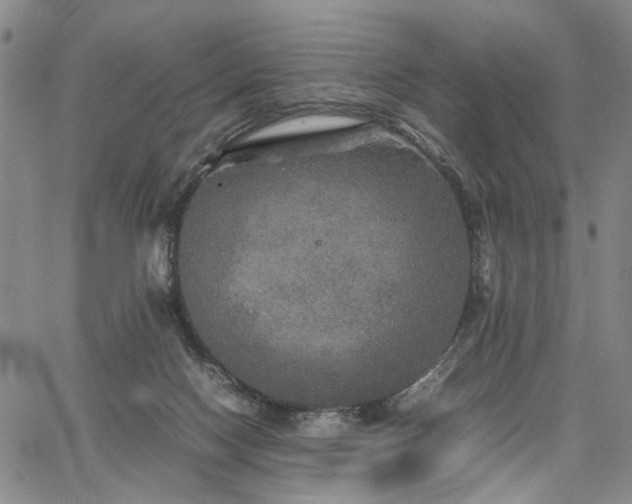 X0000067890074200604201320